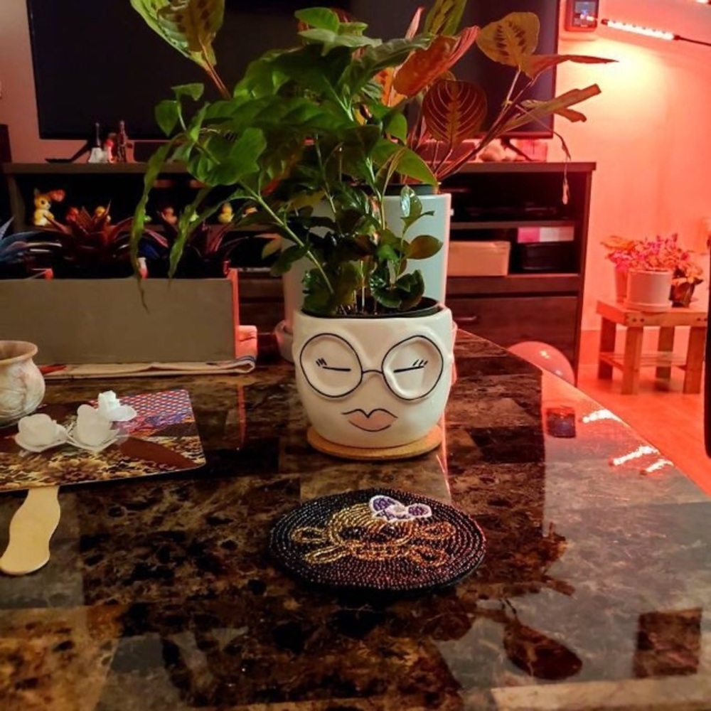 Lady Face desktop fun gift organizer or flower pot perfect for a teacher or Mom - Picture 7 of 7